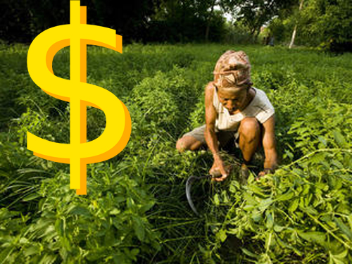 sustainable-agriculture is profitable